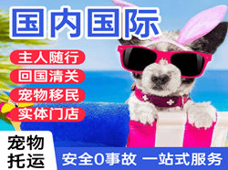 阿勒泰雪都航空托运国际宠物托运 【国